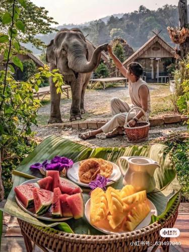 3 Pok Maewang jinxiang Gold elephant park in Doi Inthanon 3 Pok Maewang jinxiang Gold elephant park in Doi Inthanon