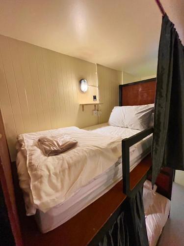 The Cocoon Hostel in Samed City Center The Cocoon Hostel in Samed City Center