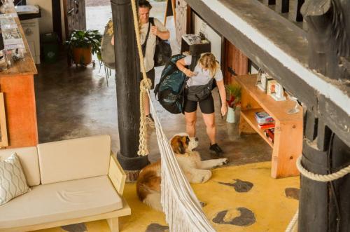 Coffee Tree Boutique Hostel in Salento Coffee Tree Boutique Hostel in Salento