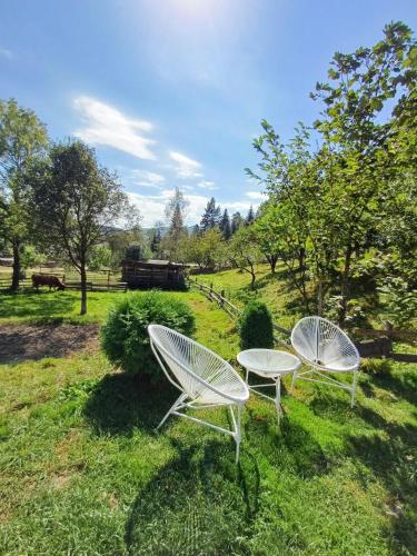 Тихий Куточок (Тихии Куточок) in Verhovyna Тихий Куточок (Тихии Куточок) in Verhovyna