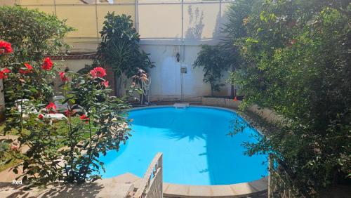 Piscina, appartement T1 avec piscine Alger quartier calme in Dély Ibrahim Piscina, appartement T1 avec piscine Alger quartier calme in Dély Ibrahim
