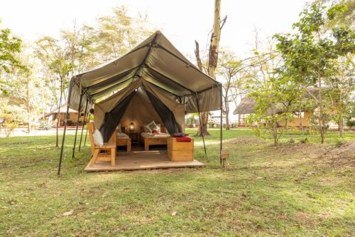 Africa Safari Rift Valley Camping in Tarangire Africa Safari Rift Valley Camping in Tarangire