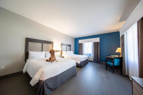 Holiday Inn Express And Suites Clermont Se West Orlando By IHG in Disney West Area Holiday Inn Express And Suites Clermont Se West Orlando By IHG in Disney West Area