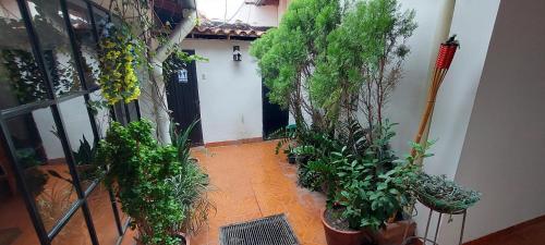 Garden, HOTEL CASA COLONIAL in San Cristobal Garden, HOTEL CASA COLONIAL in San Cristobal