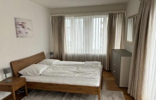 Executive 1 bedroom in the center - D11