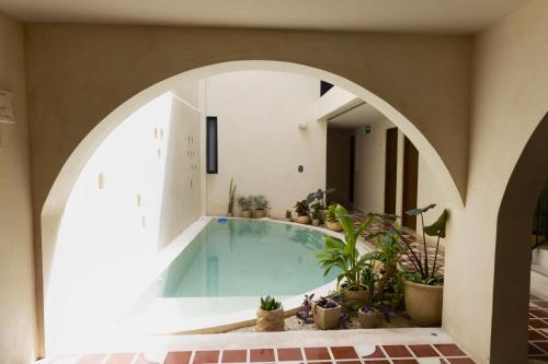 Zwembad, Moreira Hotel Boutique in Merida Zwembad, Moreira Hotel Boutique in Merida