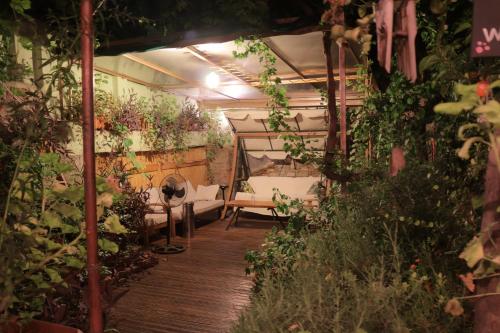 LOTUS GARDEN HOSTEL in İzmir LOTUS GARDEN HOSTEL in İzmir