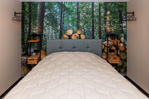 Pokój gościnny, Comfortabel 2- persoons vakantiehuis nabij bos in Drenthe in Schoonoord Pokój gościnny, Comfortabel 2- persoons vakantiehuis nabij bos in Drenthe in Schoonoord