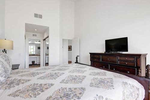 VY559 - Violet Circle