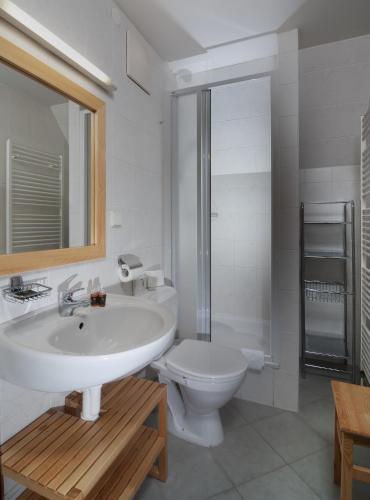ห้องน้ำ, Hotel Domovina in สปินด์เลิฟ มิล์น ห้องน้ำ, Hotel Domovina in สปินด์เลิฟ มิล์น