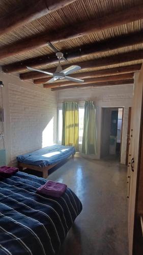 Casiopea in Barreal Casiopea in Barreal