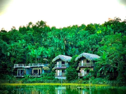 Vu Linh Palm House Homestay - Bungalow in Yen Binh (Yen Bai) Vu Linh Palm House Homestay - Bungalow in Yen Binh (Yen Bai)