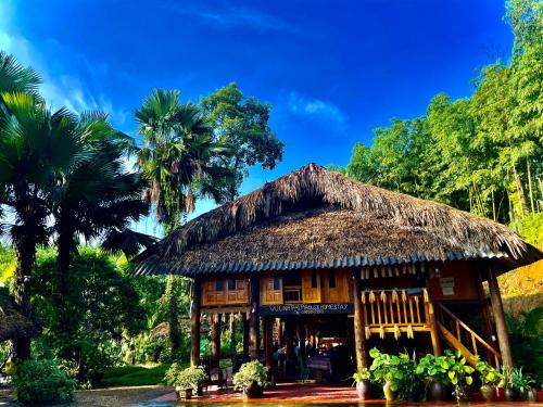 Vu Linh Palm House Homestay - Bungalow in Yen Binh (Yen Bai) Vu Linh Palm House Homestay - Bungalow in Yen Binh (Yen Bai)