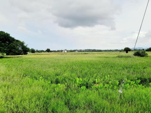 Surrounding environment, Dmana Homestay Arau Perlis near Arau Train Station Surrounding environment, Dmana Homestay Arau Perlis near Arau Train Station