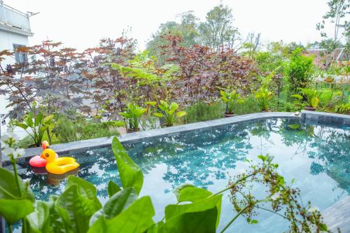 View, Sapa Heaven House in Sapa View, Sapa Heaven House in Sapa