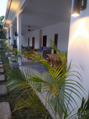 Garden, Wanderlust Hostel Mandalika in Lombok Garden, Wanderlust Hostel Mandalika in Lombok