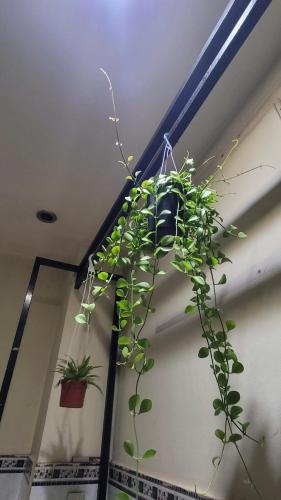 Phòng ban công và có sân thượng lớn in Distretto 5 Phòng ban công và có sân thượng lớn in Distretto 5