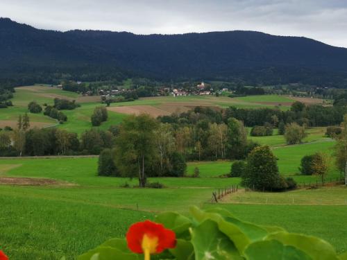 Erholung pur am Stroblhof in Arnbruck Erholung pur am Stroblhof in Arnbruck