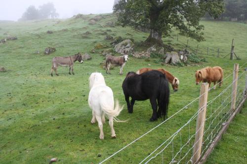Ardgarry Farm in Invergarry Ardgarry Farm in Invergarry