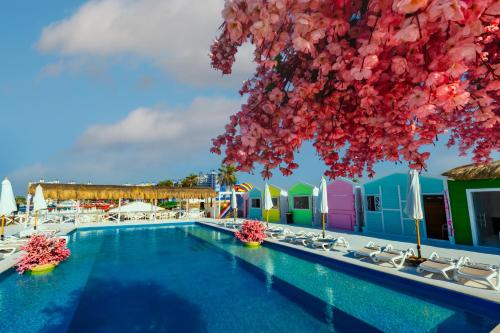 Bazen, Porto Marina Resort & Spa in El Alamein Bazen, Porto Marina Resort & Spa in El Alamein