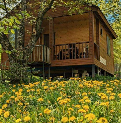 Guest House Brili in Glola Guest House Brili in Glola