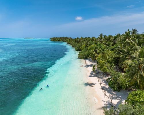 Beach, Isla Retreat in Goidhoo Atoll Beach, Isla Retreat in Goidhoo Atoll