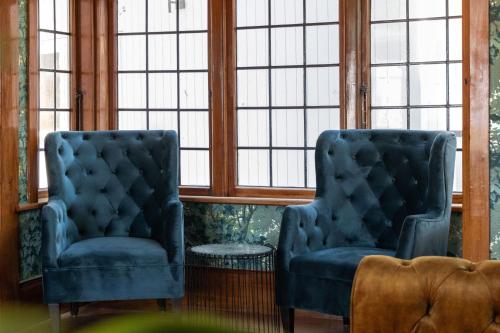 Tatum in มานากาอู Tatum in มานากาอู