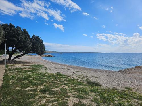 Strand, Pine House Novalja in Gajac Strand, Pine House Novalja in Gajac
