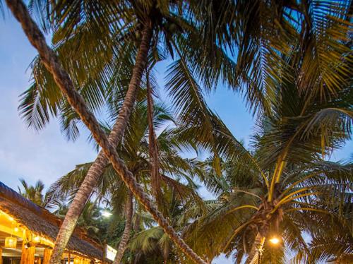 Frangipani Beach Villa in Tangalle Frangipani Beach Villa in Tangalle