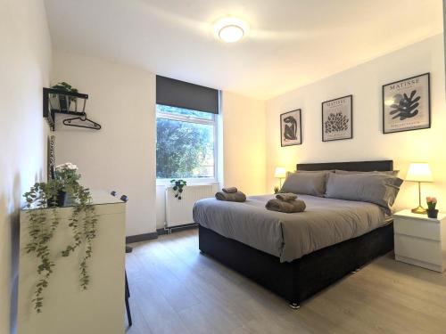 Room Near City Centre Private Bath Free Parking in Edge Hill Room Near City Centre Private Bath Free Parking in Edge Hill