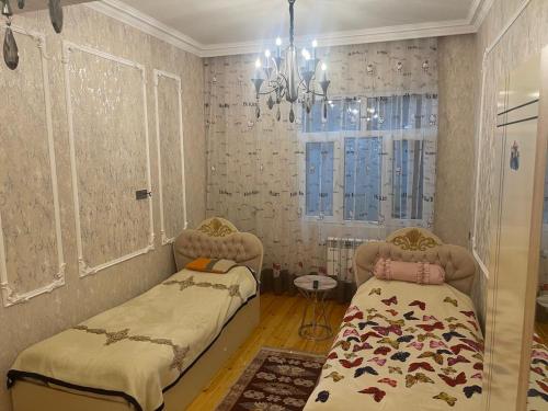 Safari Home for COP29