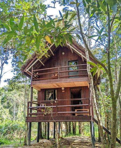 Longoza Ecolodge in Andasibe Longoza Ecolodge in Andasibe
