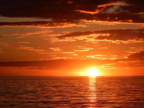 シェ チャーリー バンガロー7