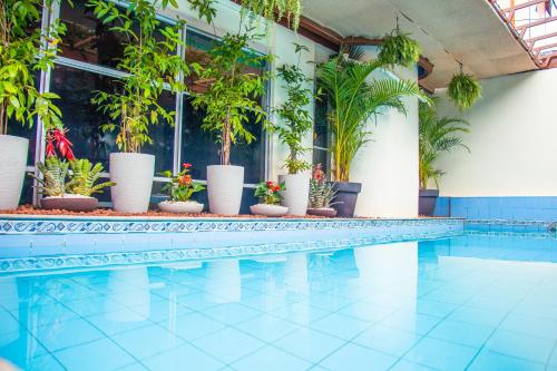 游泳池, Prestige Manaus Hotel in 馬瑙斯 游泳池, Prestige Manaus Hotel in 馬瑙斯