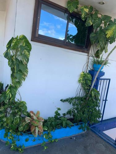View, 2BR Condo Rental,Toril in Toril View, 2BR Condo Rental,Toril in Toril