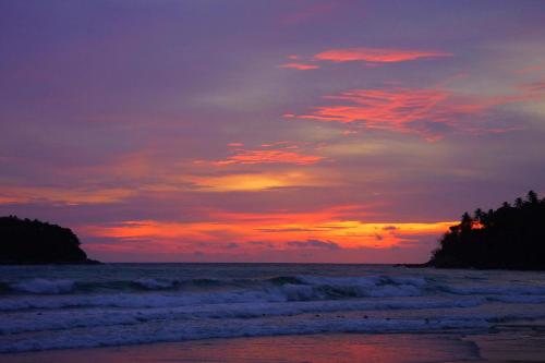 タイ パレス リゾート3