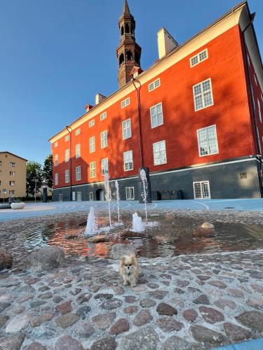 High Quality Lovely Apartment in Narva City Center High Quality Lovely Apartment in Narva City Center