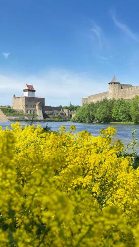 High Quality Lovely Apartment in Narva City Center High Quality Lovely Apartment in Narva City Center