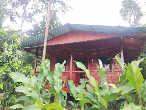 外部景觀, Cabañas Los Laguitos Rio Celeste (Cabanas Los Laguitos Rio Celeste) in 比哈瓜德烏帕拉 外部景觀, Cabañas Los Laguitos Rio Celeste (Cabanas Los Laguitos Rio Celeste) in 比哈瓜德烏帕拉