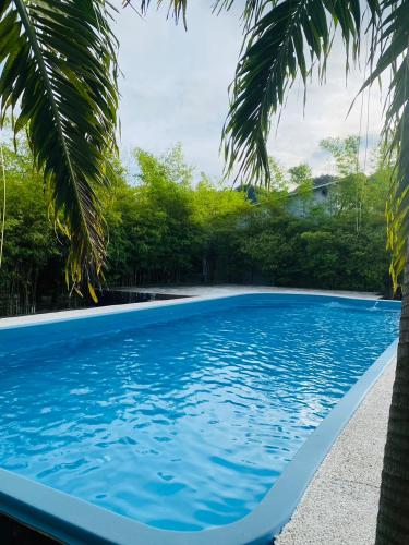 Phi Phi Little Star Resort in Loh Ba Gao Phi Phi Little Star Resort in Loh Ba Gao
