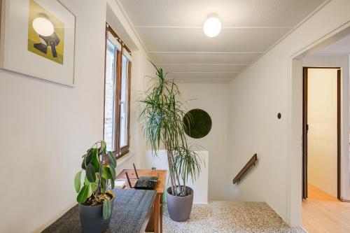 Oprema, La Canonica - Happy Rentals in Borgnone Oprema, La Canonica - Happy Rentals in Borgnone