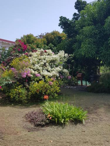 Surrounding environment, O PARADIS TERRESTRE Gite passion in Capesterre-de-Marie-Galante Surrounding environment, O PARADIS TERRESTRE Gite passion in Capesterre-de-Marie-Galante