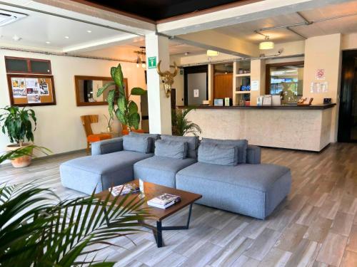 Lobby, Joint Coworking Hotel in Puerto Vallarta Lobby, Joint Coworking Hotel in Puerto Vallarta