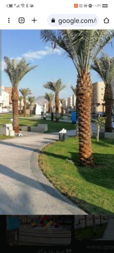 نزل تمارا 1 in Al Taniem نزل تمارا 1 in Al Taniem