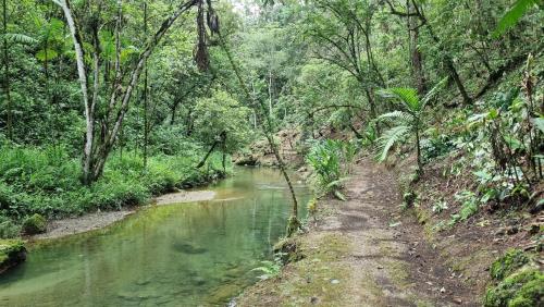 運動及活動, Rincón Verde, Chamelco, Cobán (Rincon Verde, Chamelco, Coban) in 聖胡安查美爾高 運動及活動, Rincón Verde, Chamelco, Cobán (Rincon Verde, Chamelco, Coban) in 聖胡安查美爾高