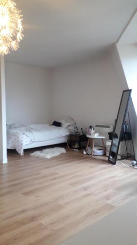 Grand studio cosy, lumineux et équipé au cœur du Chesnay