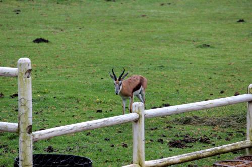 This photo about Assegaaibosch Country Lodge shared on HyHotel.com