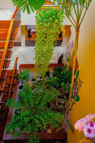 Casa Orquídea Panamá (Casa Orquidea Panama) in Punta Paitilla Casa Orquídea Panamá (Casa Orquidea Panama) in Punta Paitilla