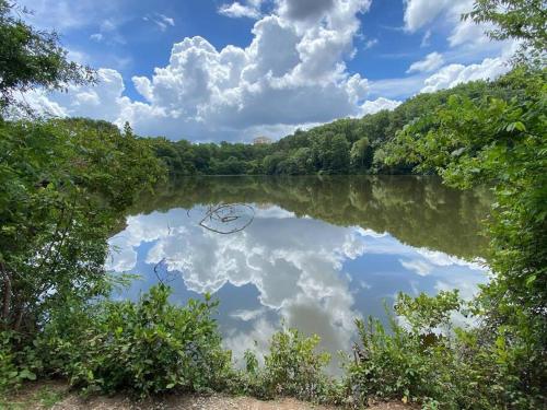 Executive Studio - Walk to Emory & CDC in Emory Executive Studio - Walk to Emory & CDC in Emory