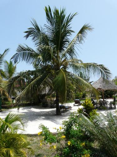 Garden, African Dream Cottages - Diani Beach in Mombasa Garden, African Dream Cottages - Diani Beach in Mombasa